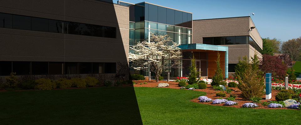 Frederick Landscapers