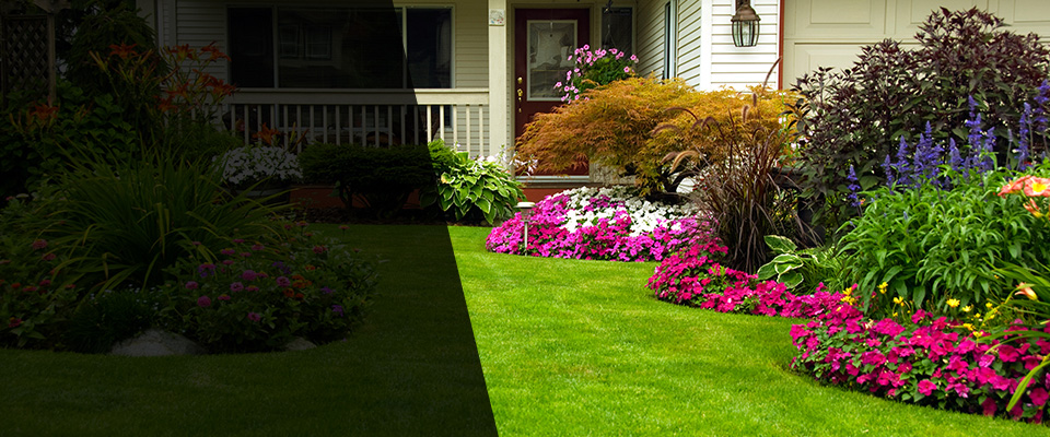 Frederick Landscapers