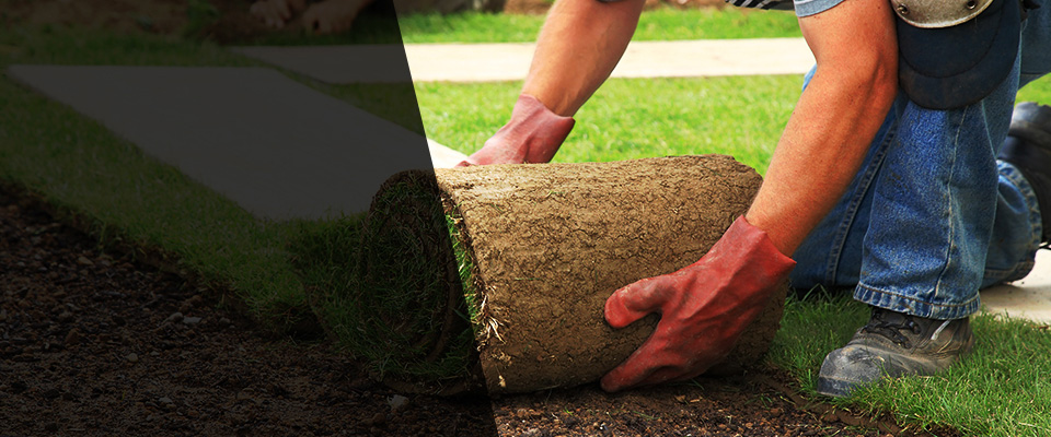 Frederick Landscapers